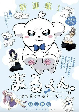 まるくん~はたらくマルチーズ~ Raw Free