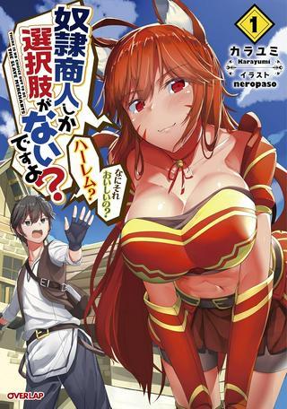 奴隷商人しか選択肢がないですよ?~ハーレム?なにそれおいしいの?~ Raw Free