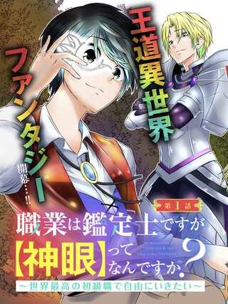 職業は鑑定士ですが【神眼】ってなんですか? ~世界最高の初級職で自由にいきたい~ Raw Free